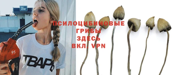 сатива Алзамай