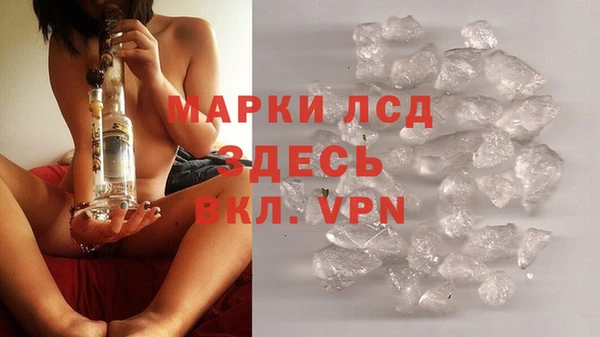 сатива Алзамай